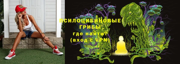 шишки Покров