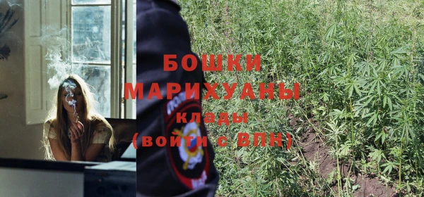 шишки Покров