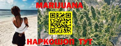 стафф Краснознаменск