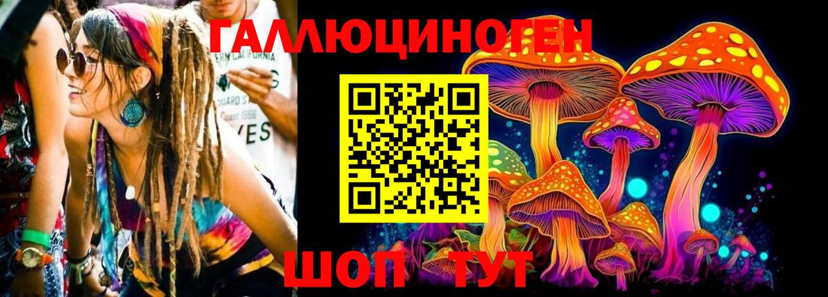 Галлюциногенные грибы Psilocybine cubensis  Псилоцибиновые грибы Cubensis  Екатеринбург  Вход с VPN 